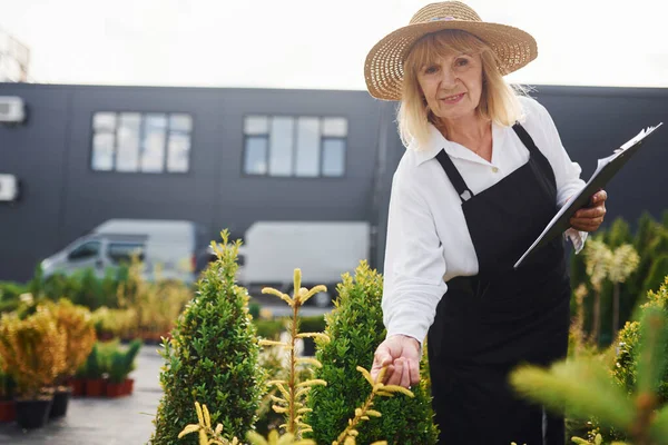 Not defteri elimde. Kıdemli kadın gündüz vakti bahçede olur. Bitki ve mevsim kavramı.