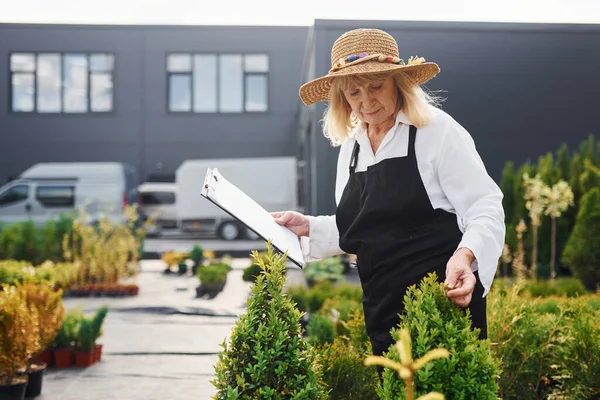 Not defteri elimde. Kıdemli kadın gündüz vakti bahçede olur. Bitki ve mevsim kavramı.