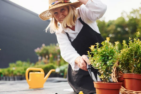 Lavorare Con Piante Vaso Donna Anziana Giardino Giorno Concezione Piante — Foto Stock