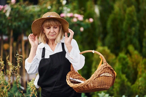 Mit Korb Der Hand Die Seniorin Ist Tagsüber Garten Konzeption — Stockfoto