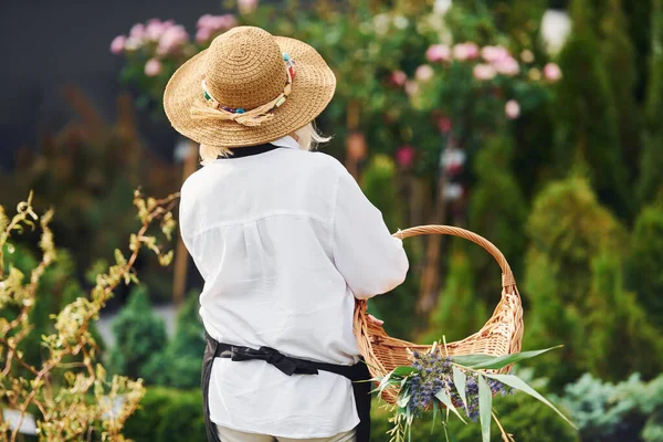 바구니를 시니어 여성은 정원에 있습니다 계절의 — 스톡 사진