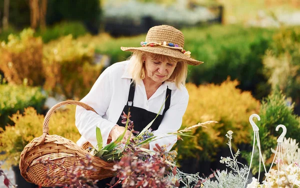 Mit Korb Der Hand Die Seniorin Ist Tagsüber Garten Konzeption — Stockfoto