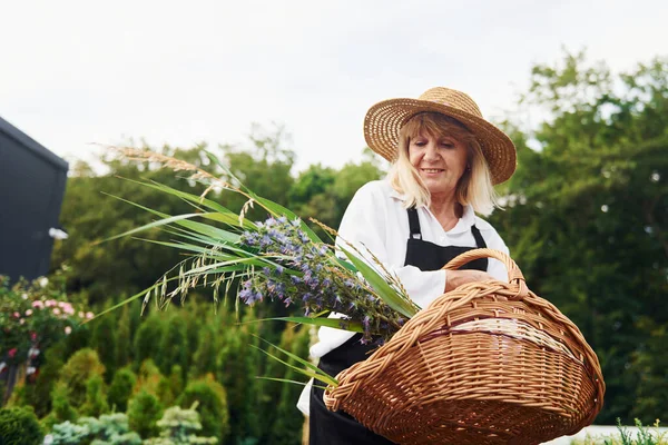 Tahta sepet. Kıdemli kadın gündüz vakti bahçede olur. Bitki ve mevsim kavramı.