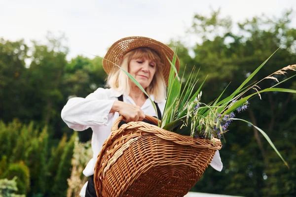 木のバスケット 昼間は年配の女性が庭にいる 植物や季節の概念 — ストック写真