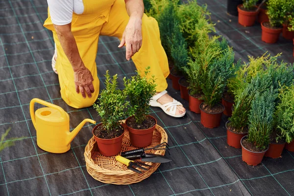 Vista Perto Senhora Está Jardim Durante Dia Concepção Plantas Estações — Fotografia de Stock