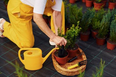 Manzarayı kapat. Kıdemli kadın gündüz vakti bahçede olur. Bitki ve mevsim kavramı.