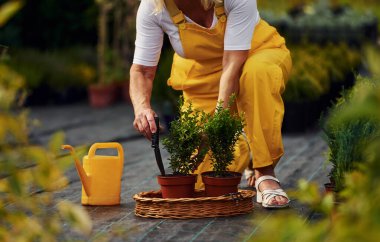 Sarı üniformalı. Kıdemli kadın gündüz vakti bahçede olur. Bitki ve mevsim kavramı.