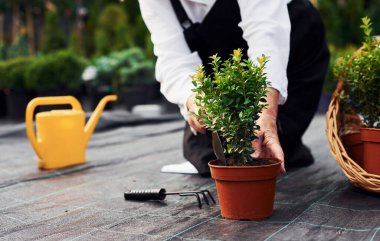 Gündüzleri bahçede saksıda bitkilerle çalışan yaşlı bir kadının yakın görüntüsü..