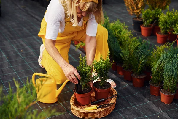 黄色の制服で 昼間は年配の女性が庭にいる 植物や季節の概念 — ストック写真
