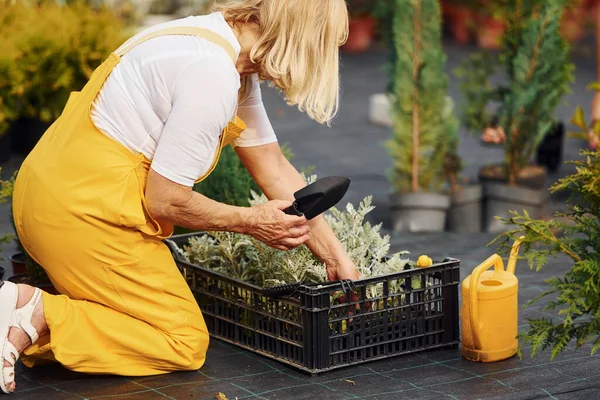 Sárga Színű Egyenruhában Idősebb Nappal Kertben Van Növények Évszakok Koncepciója — Stock Fotó