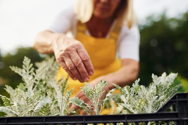 Giornata Lavoro Uniforme Colore Giallo Donna Anziana Giardino Giorno Concezione — Foto Stock