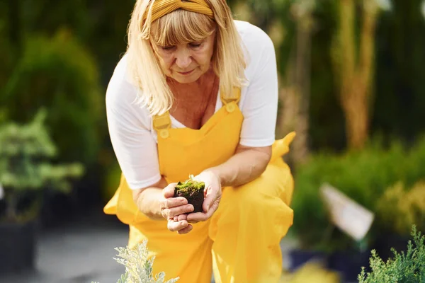 仕事の日だ 黄色の制服で 昼間は年配の女性が庭にいる 植物や季節の概念 — ストック写真