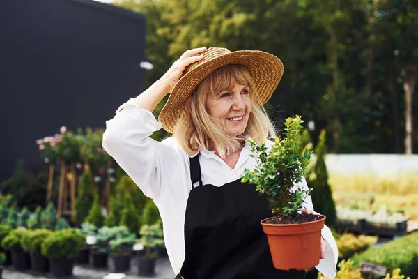 Schöne Jahreszeit Die Seniorin Ist Tagsüber Garten Konzeption Von Pflanzen — Stockfoto