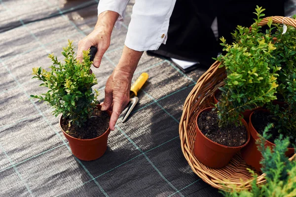 Gündüzleri bahçede saksıda bitkilerle çalışan yaşlı bir kadının yakın görüntüsü..