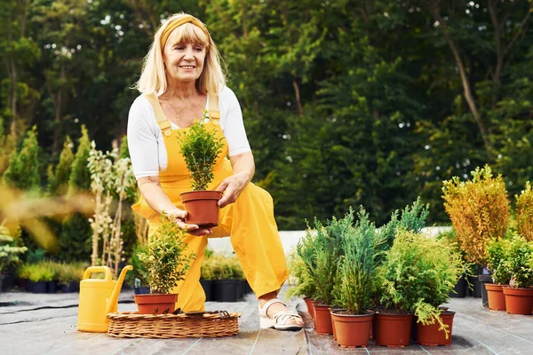 Lavorare Con Piante Vaso Donna Anziana Uniforme Gialla Giardino Giorno — Foto Stock