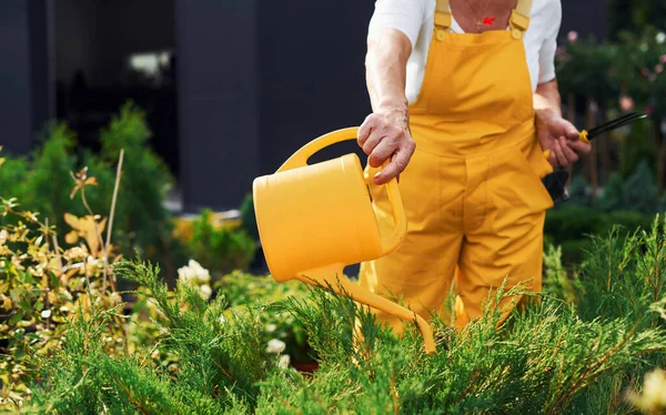 Trabajar Con Plantas Macetas Mujer Mayor Uniforme Amarillo Está Jardín —  Fotos de Stock