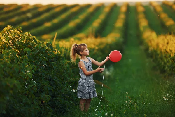 Positive Little Girl Red Balloon Hands Have Fun Field Summer — Stock Photo, Image