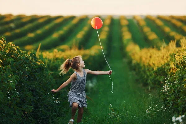 Menina Positiva Com Balão Vermelho Nas Mãos Divertir Campo Hora — Fotografia de Stock