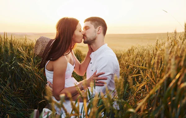 Härligt Par Kyssas Och Tillbringa Fritid Fältet Solig Dag Sommaren — Stockfoto