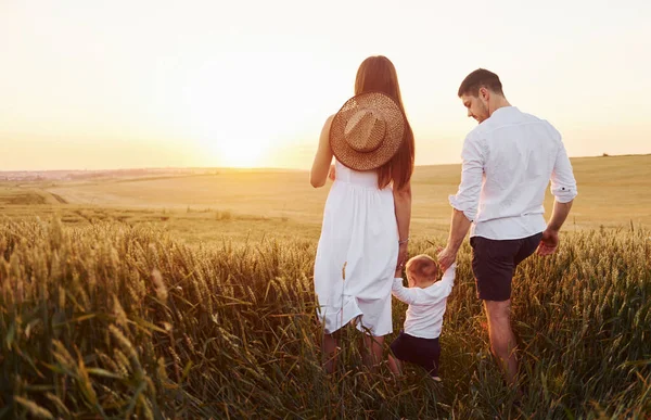 夏の晴れた日には 息子と一緒に畑で自由な時間を過ごす母親と父親 後ろからの眺め — ストック写真
