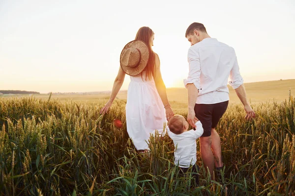 夏の晴れた日には 息子と一緒に畑で自由な時間を過ごす母親と父親 後ろからの眺め — ストック写真