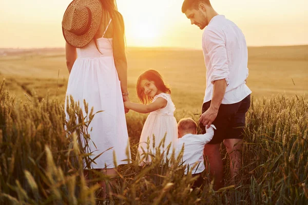 後ろから見る 夏の晴れた日に畑で自由時間を過ごす4人家族 — ストック写真