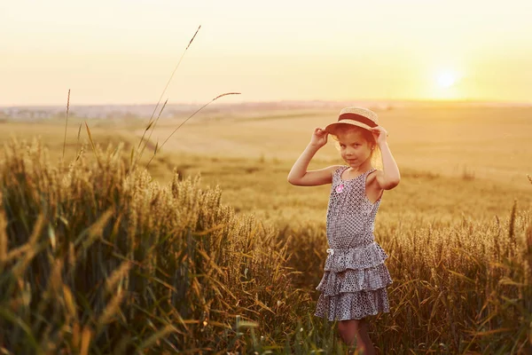 Mała Dziewczynka Stojąca Polu Godzinach Wieczornych Poczęcie Letniego Czasu Wolnego — Zdjęcie stockowe