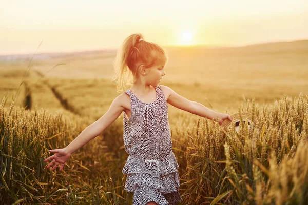 夕方には畑の上に立っている少女 夏休みの概念 — ストック写真