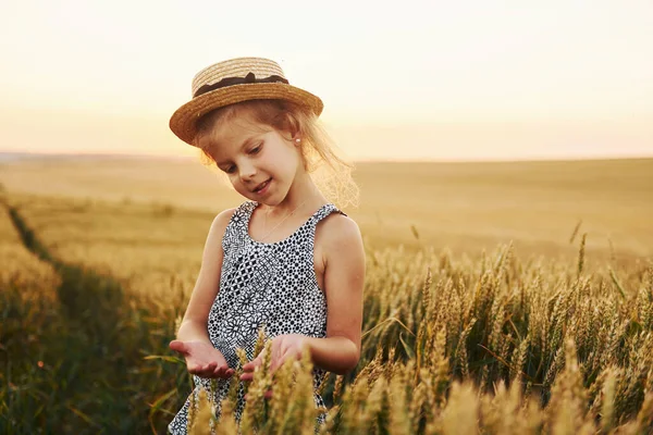 Маленькая Девочка Стоящая Сельскохозяйственном Поле Вечернее Время Концепция Летнего Свободного — стоковое фото
