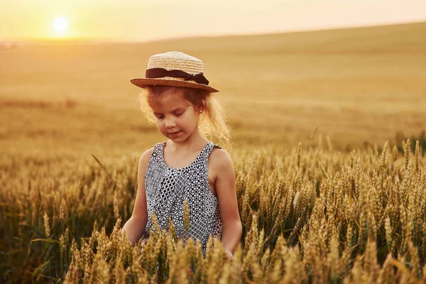 Kleines Mädchen Das Abends Auf Dem Feld Steht Konzeption Der — Stockfoto