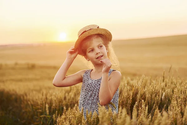 Liten Flicka Som Står Jordbruksfältet Kvällen Begreppet Sommarledig Tid — Stockfoto