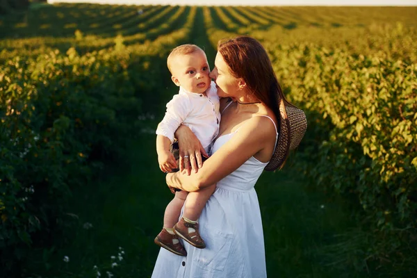 正の母とともに彼女の息子過ごすフリー時間でフィールドに晴れた日の時間の夏 — ストック写真