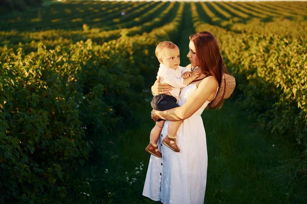 正の母とともに彼女の息子過ごすフリー時間でフィールドに晴れた日の時間の夏 — ストック写真