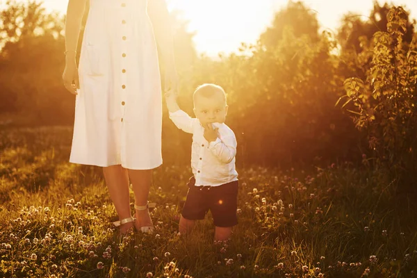 Позитивна Мати Сином Проводить Вільний Час Полі Сонячний День Під — стокове фото