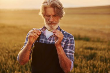 Yürüyüşe çıkmıştım. Kıdemli stil sahibi, kır saçlı ve sakallı adam tarlada hasatla birlikte..