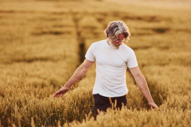 Günlük kıyafetlerle. Kıdemli stil sahibi, kır saçlı ve sakallı adam tarlada hasatla birlikte..
