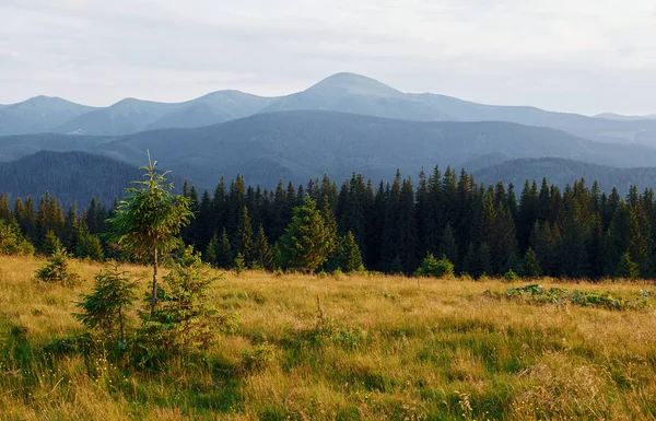 Majestosas Montanhas Dos Cárpatos Bela Paisagem Natureza Intocada — Fotografia de Stock