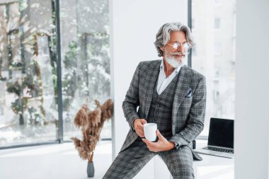 Ofisteki iş adamı. Gri saçlı ve sakallı son sınıf modacı modern adam..