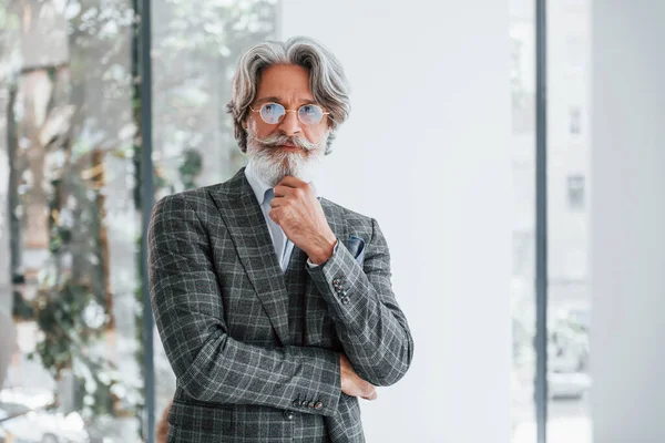 Empresario Oficina Senior Elegante Hombre Moderno Con Pelo Gris Barba —  Fotos de Stock