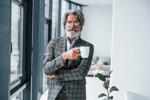 Empresario Oficina Senior Elegante Hombre Moderno Con Pelo Gris Barba —  Fotos de Stock