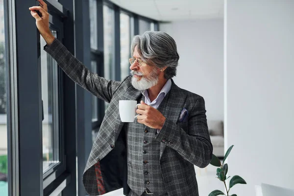 Empresario Oficina Senior Elegante Hombre Moderno Con Pelo Gris Barba — Foto de Stock