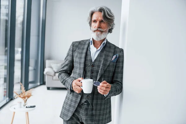 Pie Habitación Senior Elegante Hombre Moderno Con Pelo Gris Barba —  Fotos de Stock