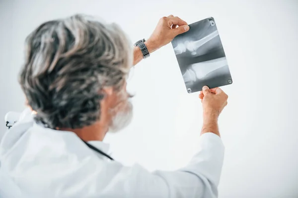 Röntgene Bak Beyaz Önlüklü Gri Saçlı Sakallı Kıdemli Erkek Doktor — Stok fotoğraf