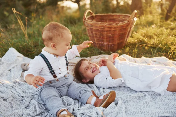 Милые Брат Сестра Играют Вместе Открытом Воздухе Красивыми Деревьями Солнечным — стоковое фото