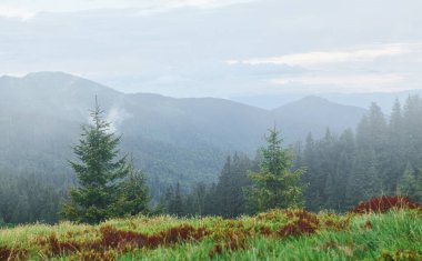 Dağlarda sıradağları olan güzel bir manzara.