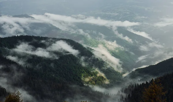 Piękny Krajobraz Mgłą Górach — Zdjęcie stockowe