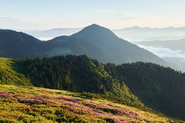 Krásná Krajina Horským Údolím Horách — Stock fotografie