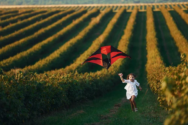 Active Little Girl White Clothes Running Red Kite Field — Stock Photo, Image