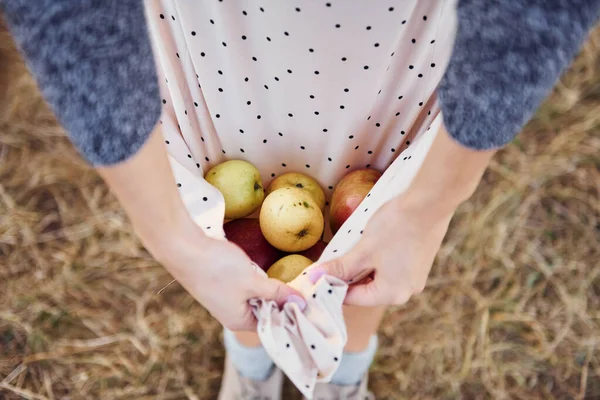 Close View Woman Holds Fresh Apples Using Her Dress — Stock Photo, Image