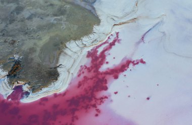 Ukrayna 'daki Jarilgach adasının görkemli manzaraları..